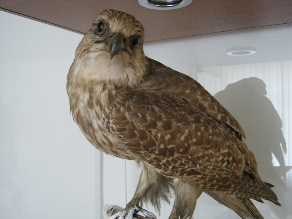 Зал природы
